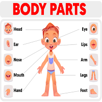 Body parts name