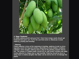 mango cultivation Screenshot 3