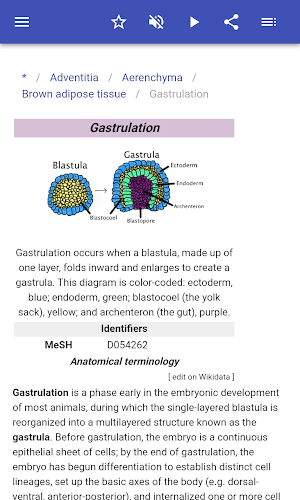 Body tissues Screenshot 3
