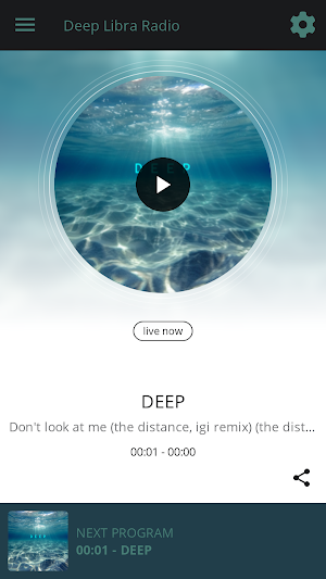 Deep Libra Radio Screenshot 0