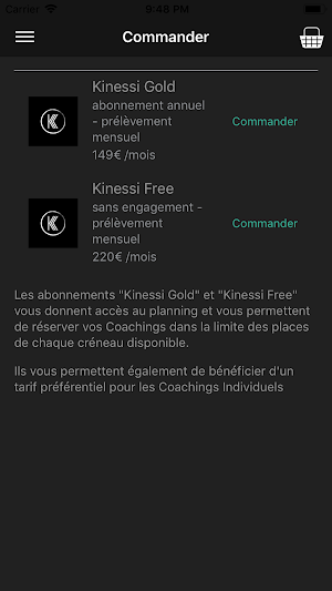 KINESSI Screenshot 2