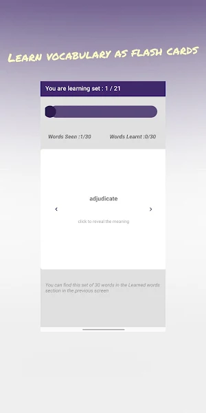GRE Vocabulary Builder - Flash Screenshot 1