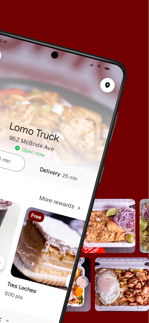 Lomo Truck Screenshot 1