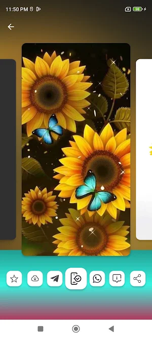 Sunflower Wallpapers HD Screenshot 1