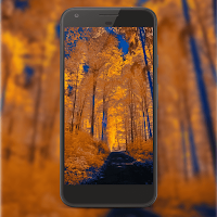 Wallpaper App