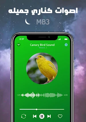 canary bird sound screenshot 2