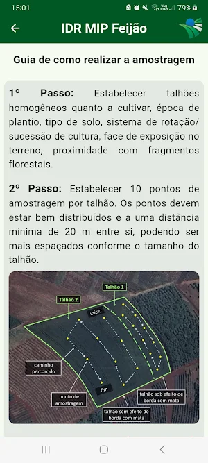 IDR MIP Feijão Screenshot 2