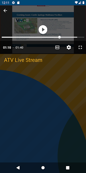 Arlington TV Screenshot 1