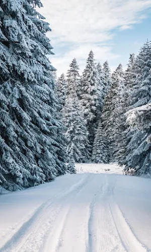 Snowfall HD Wallpapers Screenshot 3