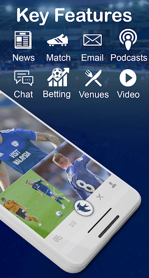 CityBluebirds Screenshot 1