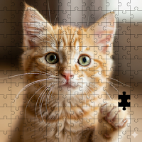 Puzzle Of Secrets: Puzzle Game