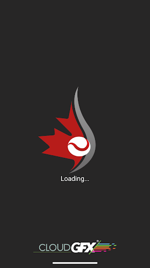 Canada Cup Screenshot 0