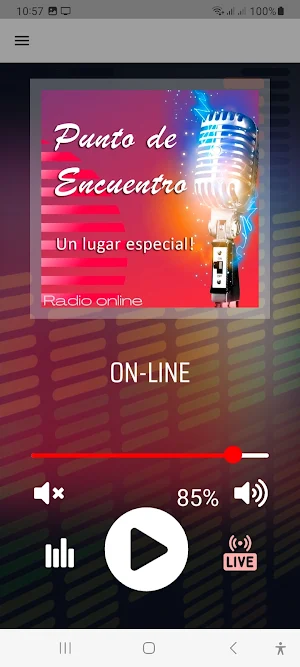Punto de encuentro Radio Screenshot 1