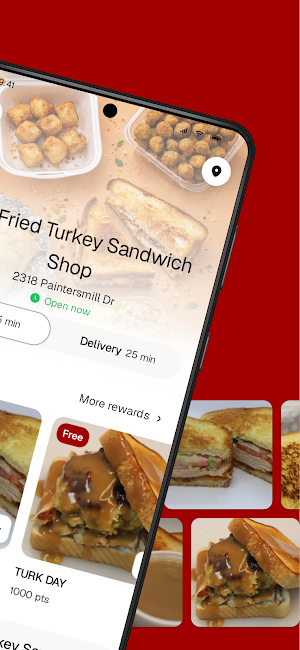 The Fried Turkey Sandwich Screenshot 1