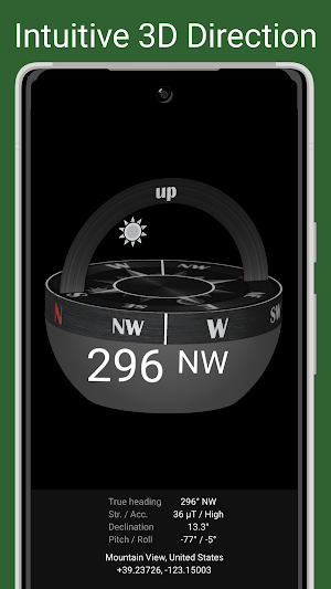 Compass Steel 3D Pro Screenshot 1