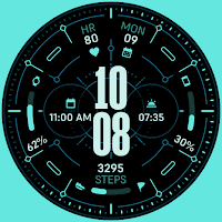 TKS 21 Orbis Watch Face