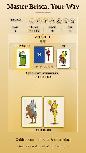 10 Spanish Card Games Screenshot 1