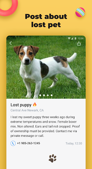 Lost Pet — find my lost pet Screenshot 2