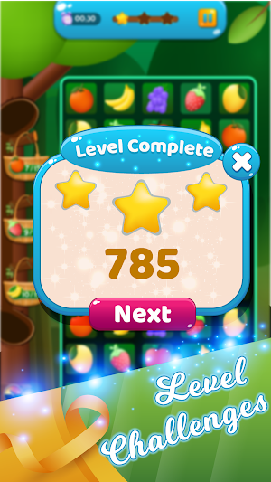 Fruit Crush : Challenge screenshot 3