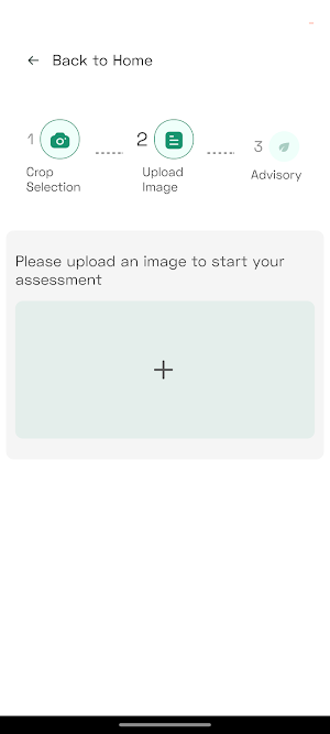 CropAce Screenshot 2