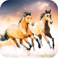 Horse Wallpapers