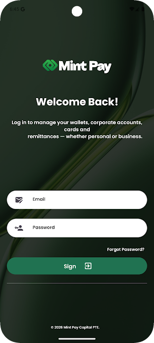Mint Pay Screenshot 0