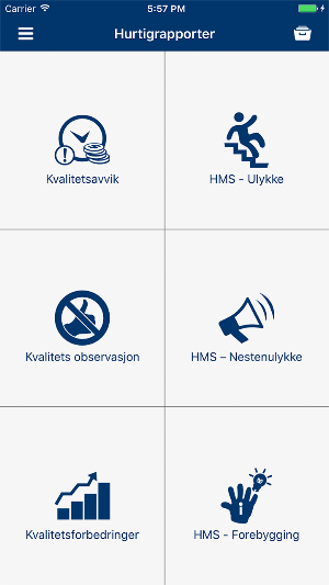 Grundfos (NO) HSEQ Screenshot 2