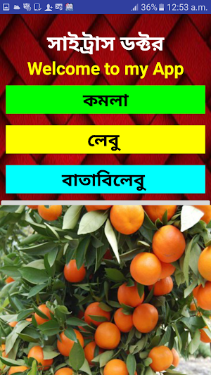 সাইট্রাস ডক্টর Screenshot 1