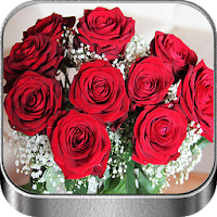 Flores y Rosas Rojas imágenes gratis