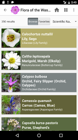 Flora of the Wasatch Screenshot 2