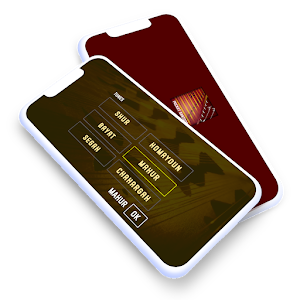 Pocket santoor Screenshot 2