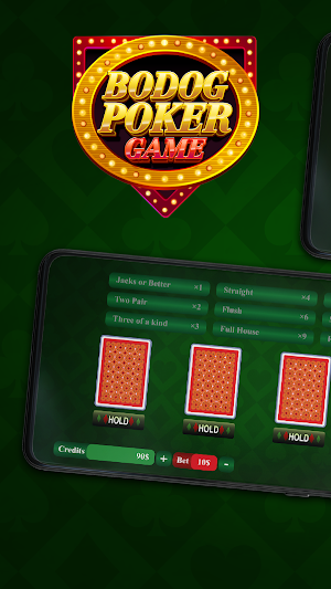 Bodog Poker Game Screenshot 3