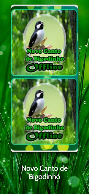 Novo Canto de Bigodinho Screenshot 1