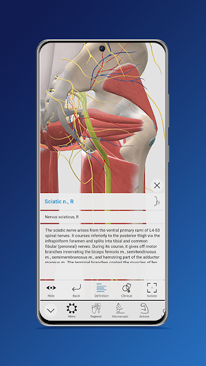 Everyday Anatomy Screenshot 3