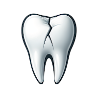 Dental Trauma Guide