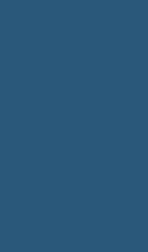 Pure Solid Color Wallpaper Screenshot 0