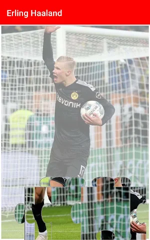 Erling Haaland -Wallpapers Screenshot 2