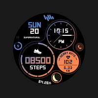 SamWatch FIT C 2024