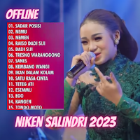 Niken Salindry Cover