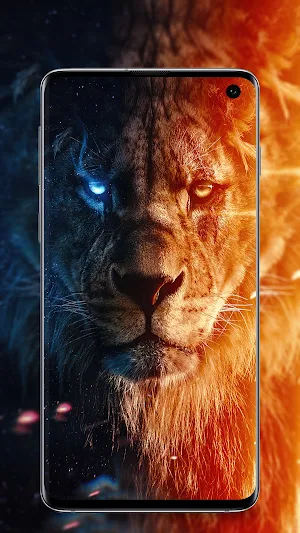 Lion Wallpaper HD Screenshot 0