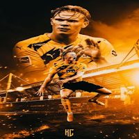 Erling Haaland 4k wallpapers