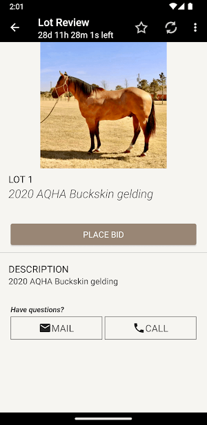 Southwest Horse Sale Company Screenshot 2