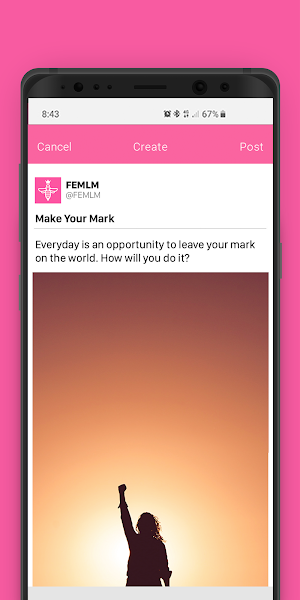 FEMLM Screenshot 2