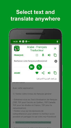 Arabic - French Translator : free & offline Screenshot 3