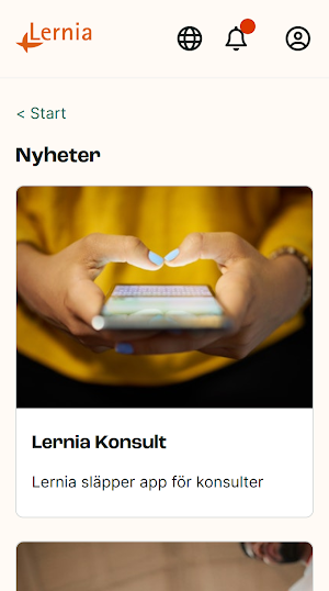 Lernia Konsult Screenshot 2