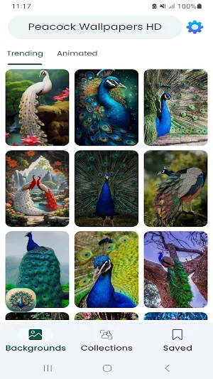 Peacock Wallpapers HD Screenshot 0