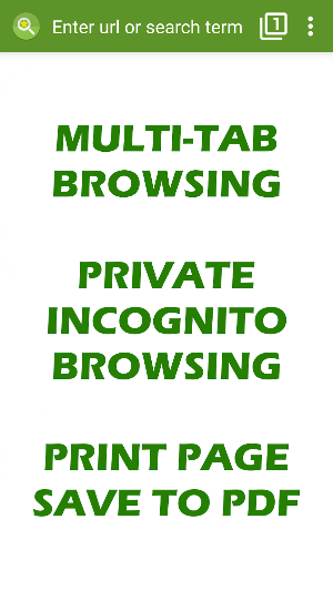 Tiny Browser Pro Screenshot 0