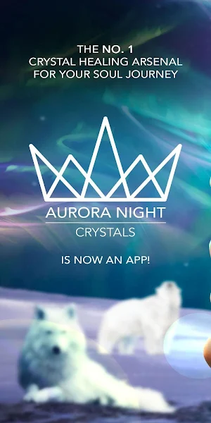 Aurora Night Screenshot 0