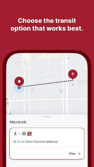 MicroLink Screenshot 1