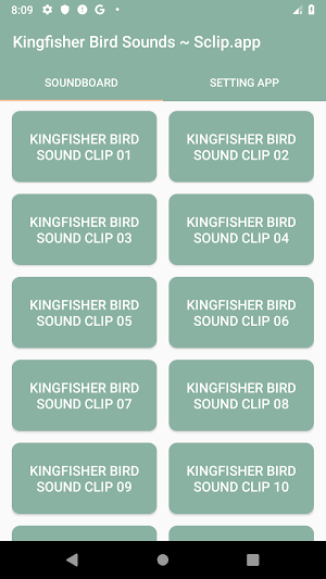 Kingfisher Bird Sound Collections ~ Sclip.app Screenshot 0